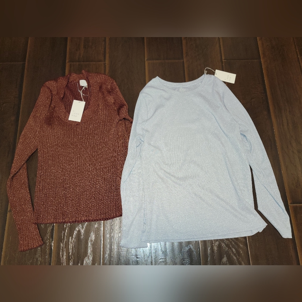 2 long sleeve shirts a new day size XL shimmery women's tops clothes outfit